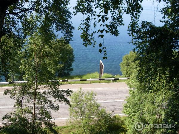 Дендрологический парк (Россия, Листвянка) фото