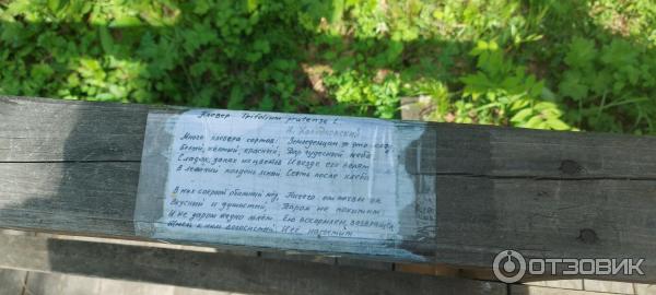 Дендрологический парк (Россия, Листвянка) фото