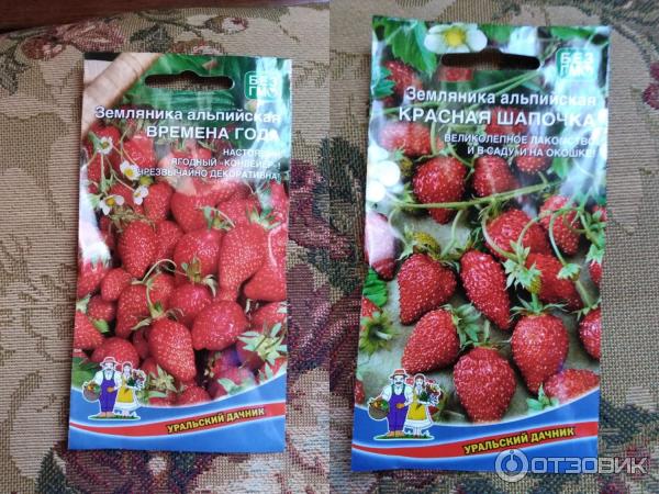 Отзыв о Agrosemfond.ru - интернет-магазин семян и саженцев | Качество ...