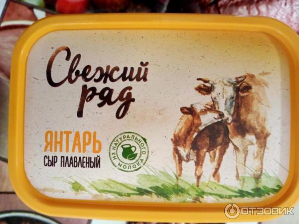Свежий ряд. Сыр янтарь. Плавленый сыр янтарь. Сыр янтарь плавленный. Сыр плавленый свежий ряд.