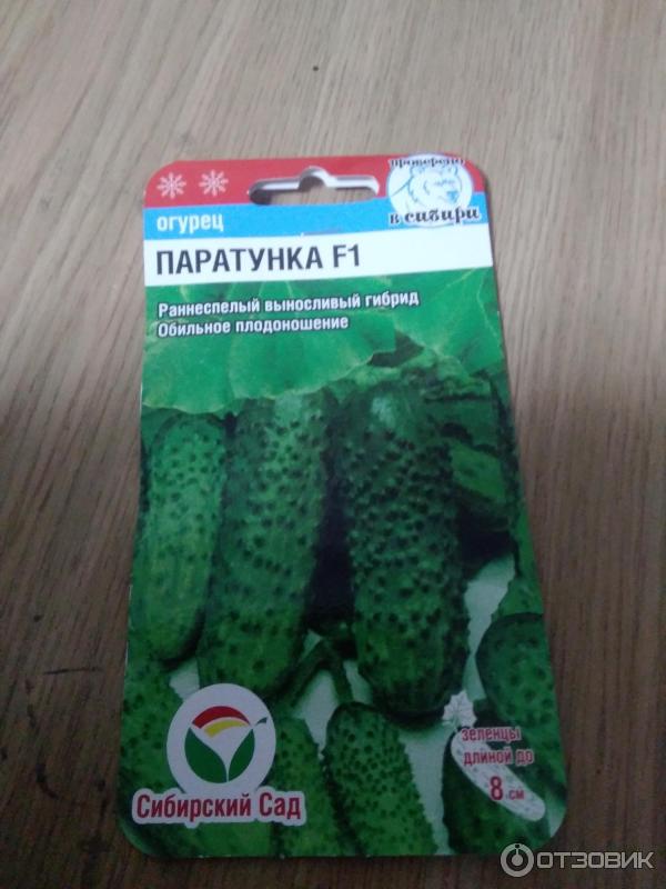 Сорт паратунка огурец. Сорт паратунка огурец