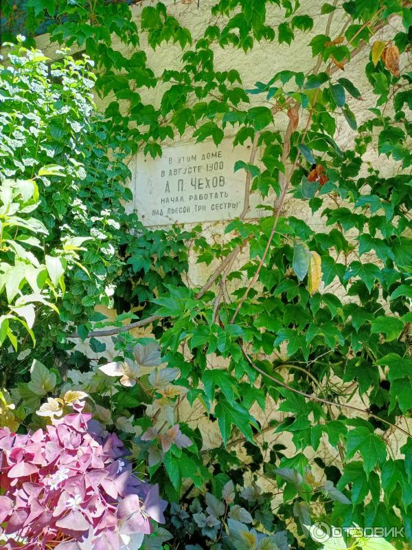 Отзыв о Дача Чехова (Крым, Гурзуф) | Уютное тихое местечко