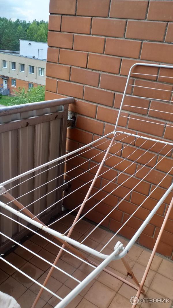 Санаторий Приднепровский (Беларусь, Гомельская область) фото