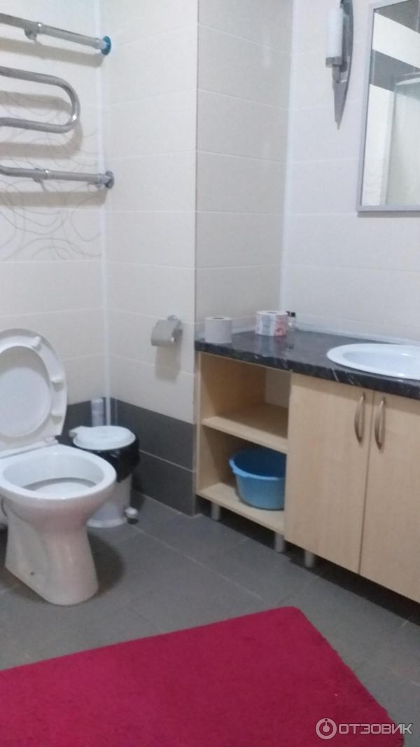 Санаторий Приднепровский (Беларусь, Гомельская область) фото