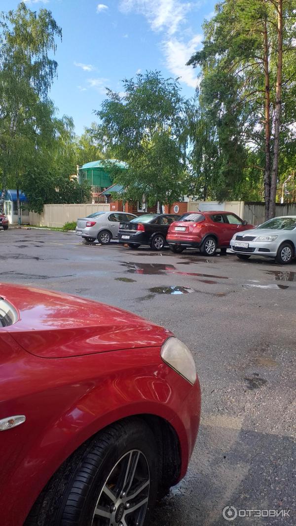 Санаторий Приднепровский (Беларусь, Гомельская область) фото