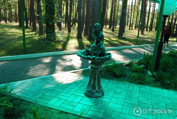 Санаторий Приднепровский (Беларусь, Гомельская область) фото