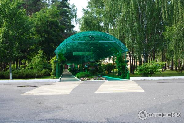 Санаторий Приднепровский (Беларусь, Гомельская область) фото