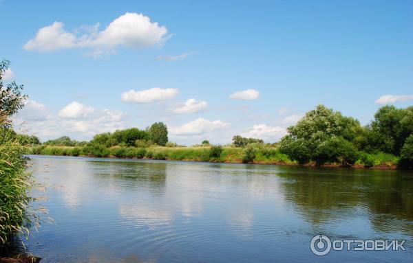Санаторий Приднепровский (Беларусь, Гомельская область) фото