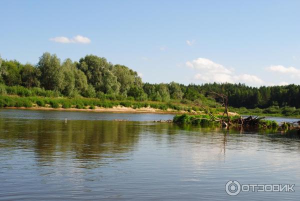 Санаторий Приднепровский (Беларусь, Гомельская область) фото