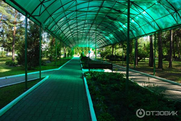 Санаторий Приднепровский (Беларусь, Гомельская область) фото