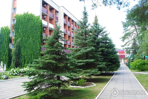 Санаторий Приднепровский (Беларусь, Гомельская область) фото