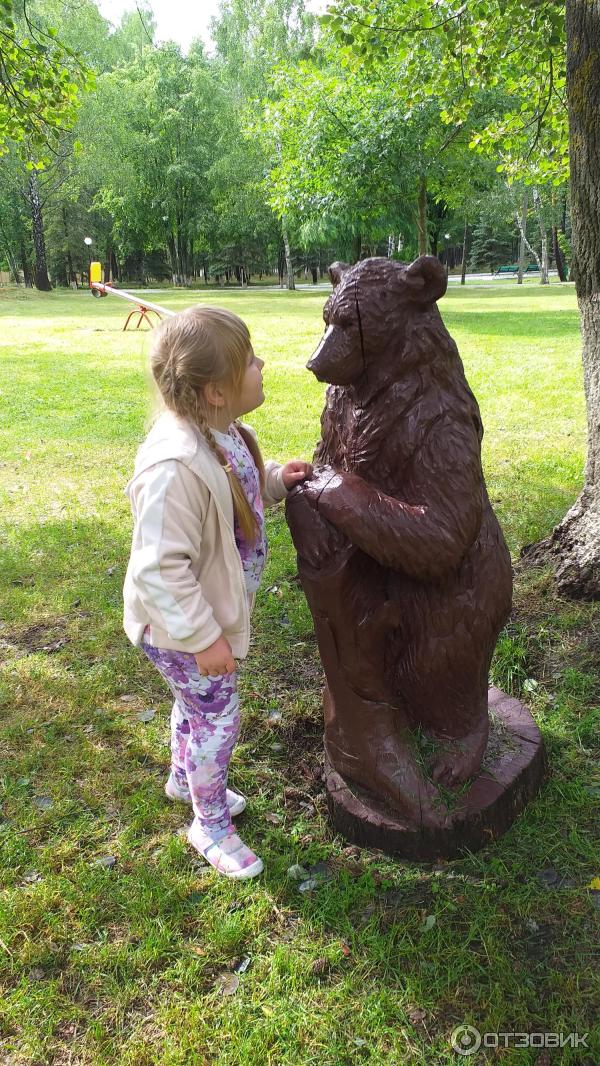 Санаторий Приднепровский (Беларусь, Гомельская область) фото
