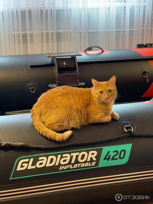 Отзыв о Лодка ПВХ Gladiator 330 | Новая лодка