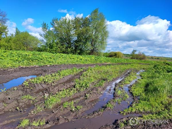 Смартфон Xiaomi 11T Pro фото