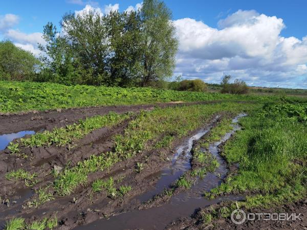 Смартфон Xiaomi 11T Pro фото