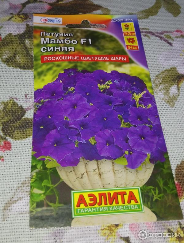Petunia multiflora Aelita Mambo F1 foto