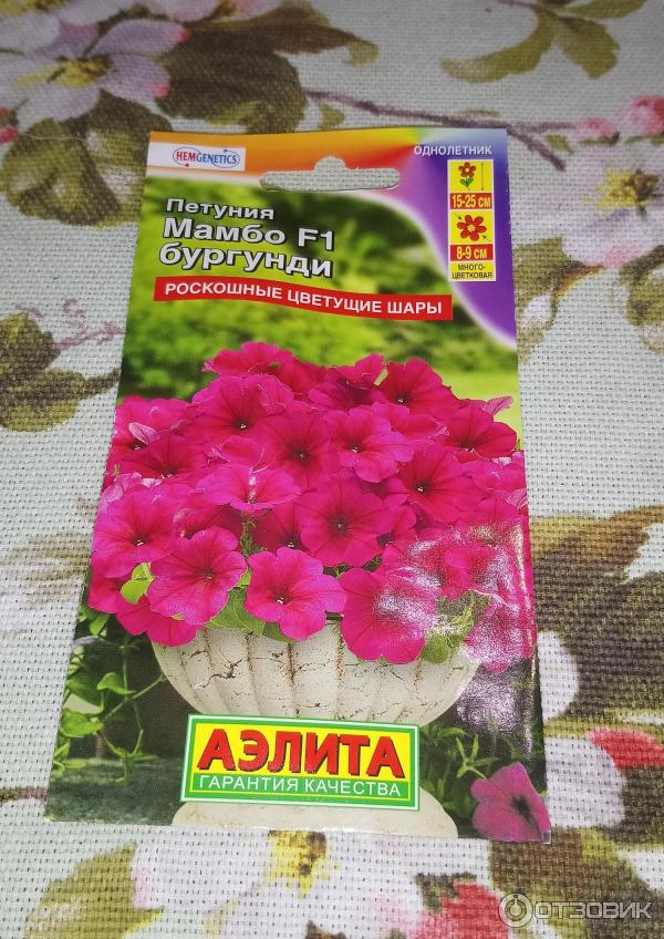 Petunia multiflora Aelita Mambo F1 foto