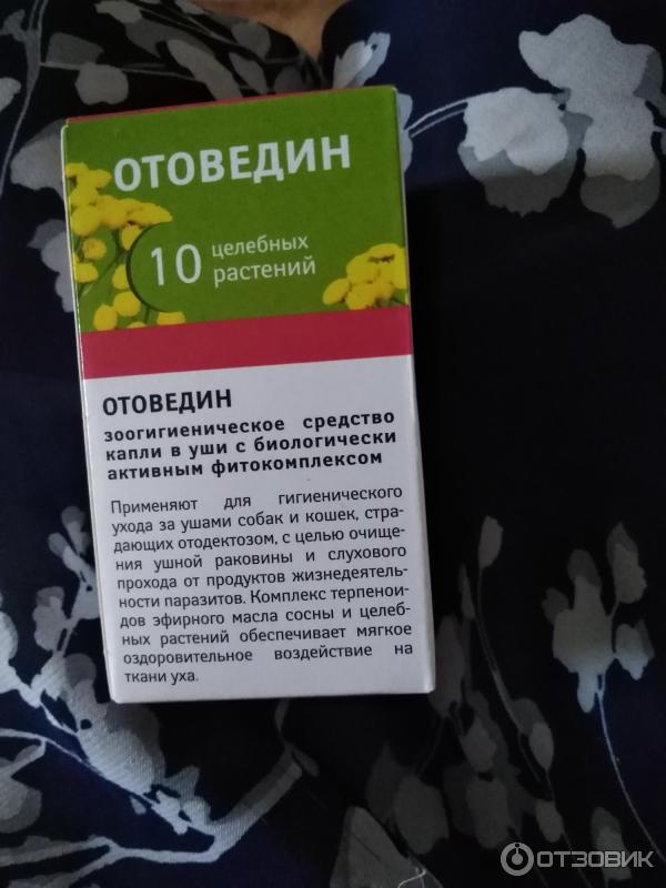 капли отоведин для кошек. отоведин капли ушные акарицидные 10мл ветеринарн. отоведин ушные капли, 10 мл. отоведин ушные капли для кошек. отоведин ушные капли для кошек.
