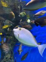 Что отличает аквапарк "Москвариум" от других?