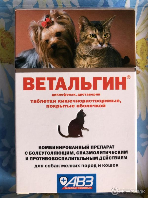 Ветальгин для собак инструкция. Ветальгин для собак. Ветальгин для собак крупные породы. Таблетки жизни кошек. АВЗ гепатоветариум