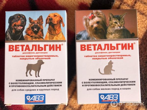 Отзыв о Таблетки АВЗ Ветальгин для собак мелких пород и кошек | Шипит,  плюётся и не ест.