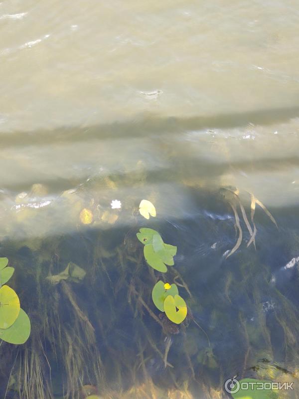 Отзыв о Санаторий "Кашин" (Россия, Кашин) | Уютно, чисто, хороший персонал