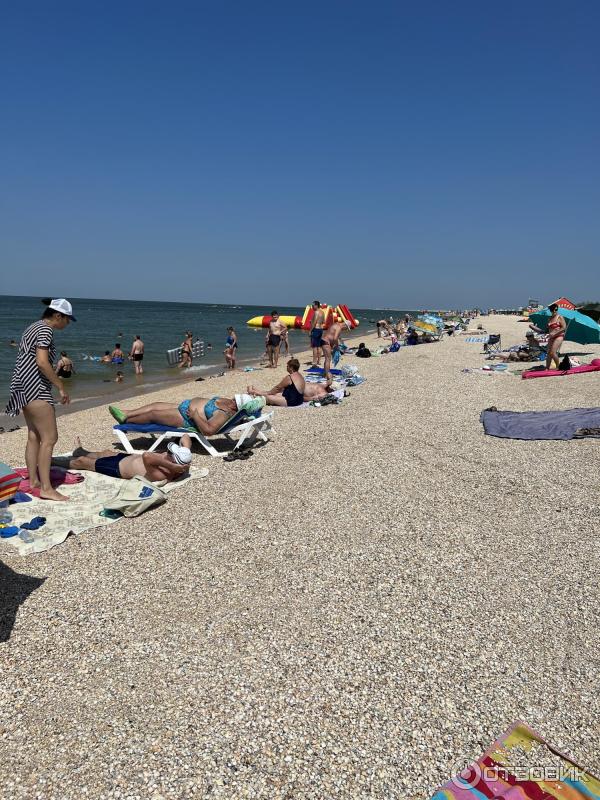 Пляжи должанская отзывы