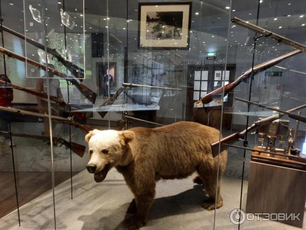 музей оружия