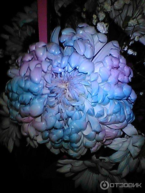 Мобильный телефон Nokia 6300 4G TA-1294 DS фото
