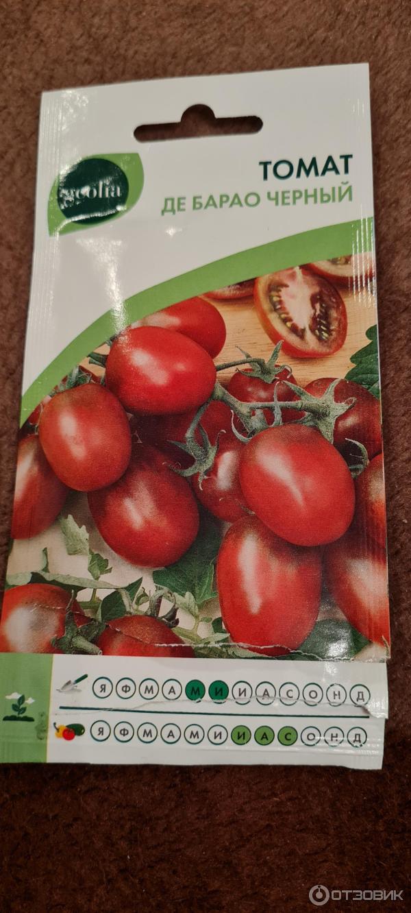 сорт томатов де барао черный. де барао черный описание. томат де барао черный. де томаты барао томат. сорт помидор де барао черный.