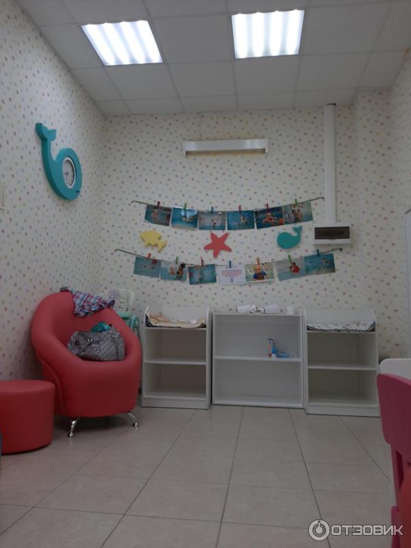 Отзыв о Акваклуб "Белые китята" (Россия, Белгород) | Пока очень хорошее ...