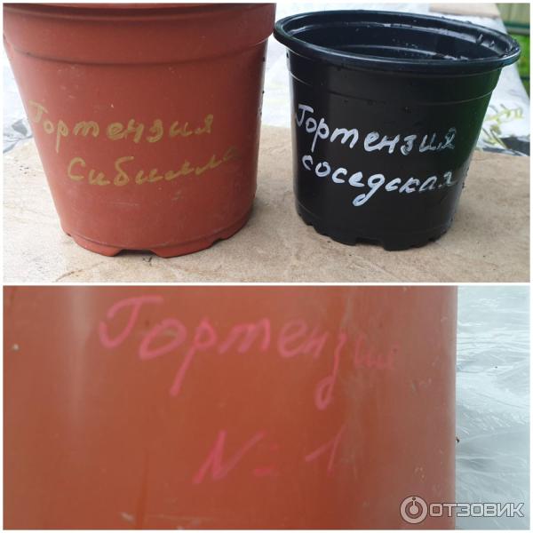 Набор лаковых маркеров Lamps