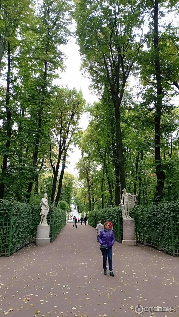 светло на улице и видим сад насквозь