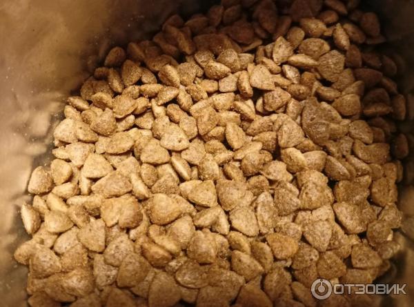 Отзыв о Сухой корм Ашан Pets для стерилизованных кошек и котов всех ...