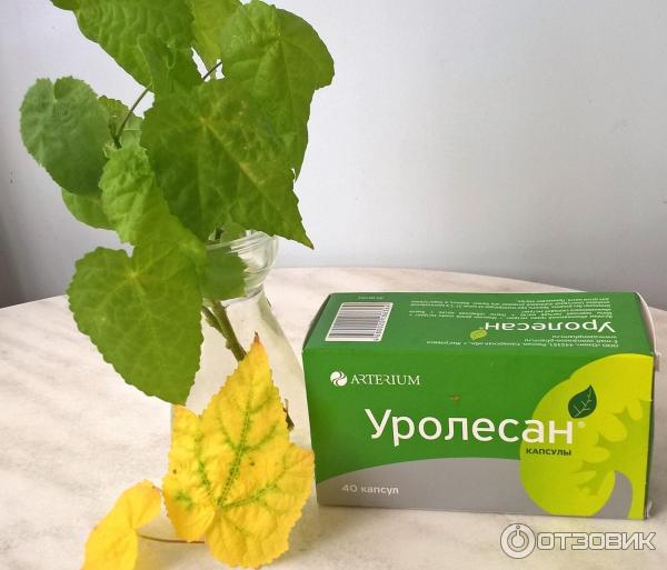 Отзыв о Капсулы Arterium "Уролесан" | Кому-то помогает.