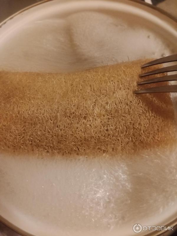 Lufa lufa