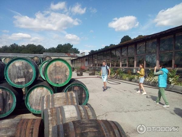 Отзыв о Экскурсия на завод вин Коктебеля (Крым) | Есть нюансы, но в ...