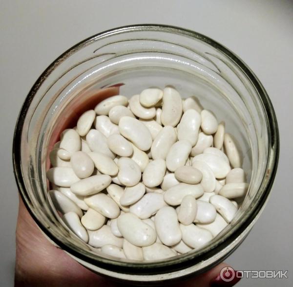 100 грамм фасоли. 100 грамм вареного нута. сколько фасоли грамм. фасоль ангстрем. фасоль калорийность белки жиры углеводы.