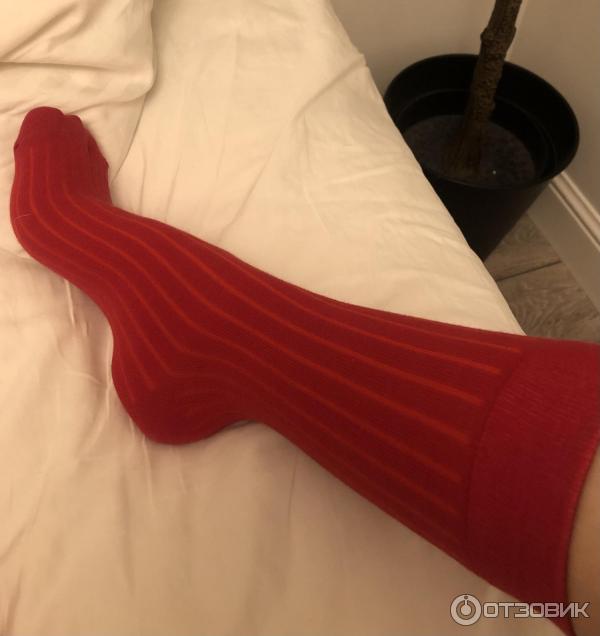 Отзыв о Носки мужские In Comfort "Классические" | Мягкие и удобные