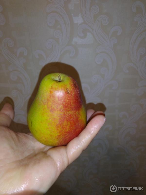 Грушевая диета для похудения