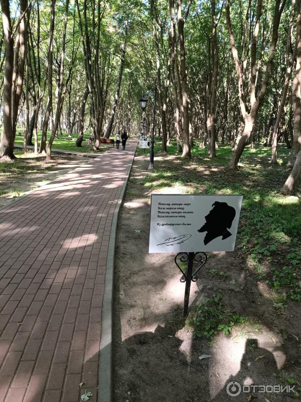 Отзыв о Парк имени Мориса Беккера (Россия, п. Янтарный) | Поэтичный, тенистый, романтичный парк в Янтарном