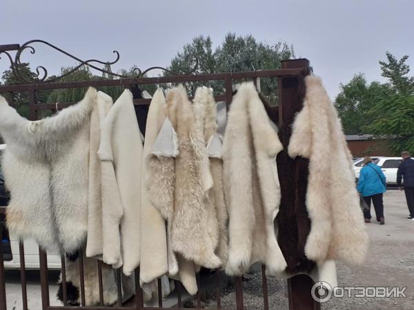 овчина