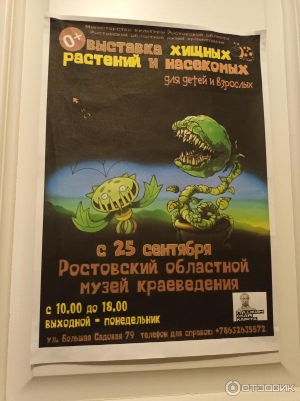 Выставка хищных растений. Выставка в ростовском инопланетян в краеведческом музее. Парк бабочек челябинск куба. Курск выставка хищных растений. Музей фелицына выставка хищных растений в краснодаре.
