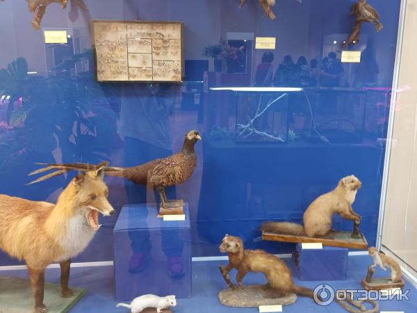 Выставка хищных. Выставка хищных. Ривьера выставка хищных растений. Выставка хищных растений тула. Выставка хищных.