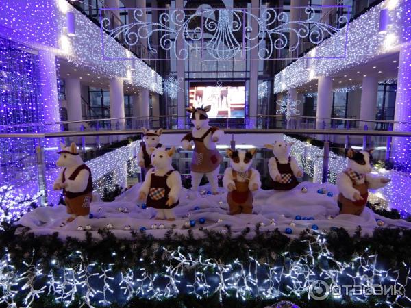 Отзыв о Театр Классического Балета Н.Касаткиной и В.Василева (Россия ...