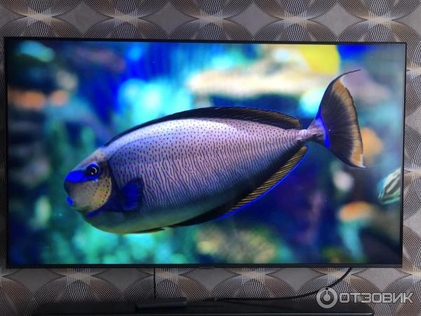 UHD 4K Smart телевизор Samsung UE50AU7500U фото