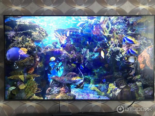 UHD 4K Smart телевизор Samsung UE50AU7500U фото