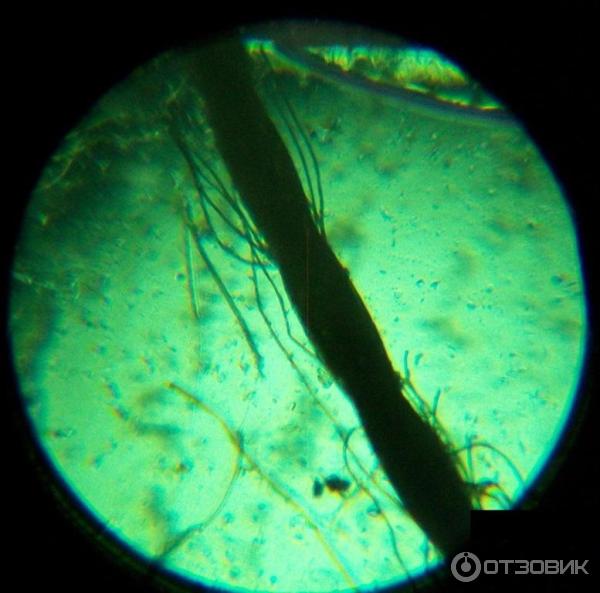 Отзыв о Детский микроскоп Scientific Microscope Set 1311 "MicroWorld ...