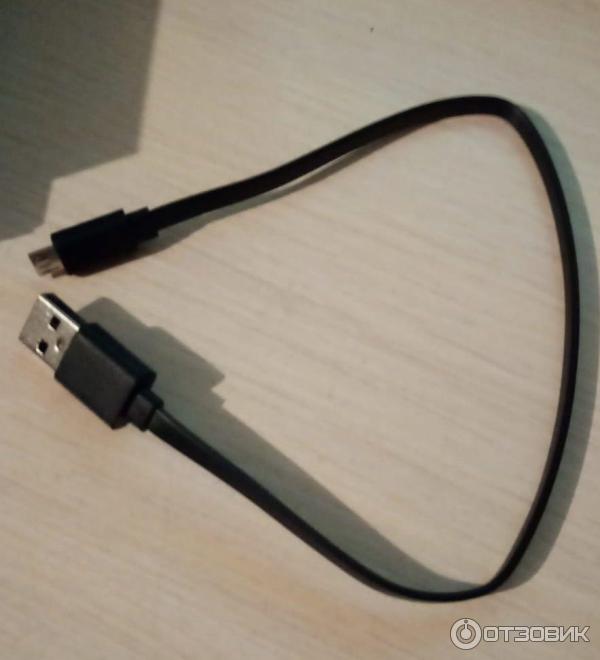 Портативный аккумулятор 10000 mAh (PB100LZM) фото