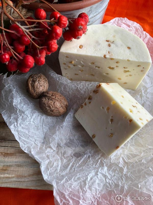 сыровер интернет магазин для сыра